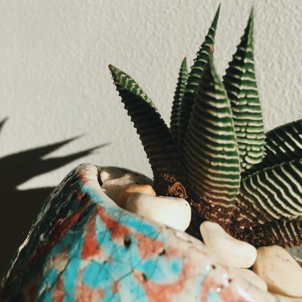 Meet your Posher, Juliana